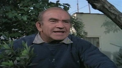 Lou Grant Season 2 Episode 14