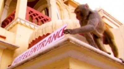 Rebel Monkeys Season 1 Episode 10