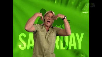 The Crocodile Hunter Season 4 Episode 3