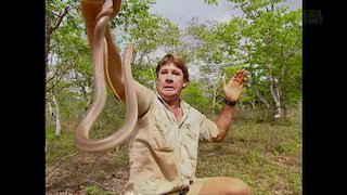 Watch The Crocodile Hunter Online - Full Episodes of Season 5 to 1 | Yidio