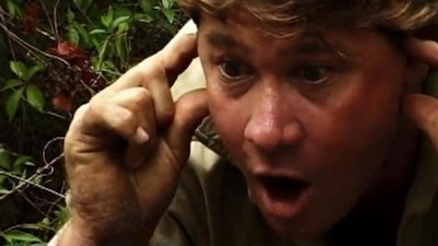 The Crocodile Hunter Season 3 Episode 2
