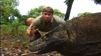 The Crocodile Hunter Season 1 Episode 4