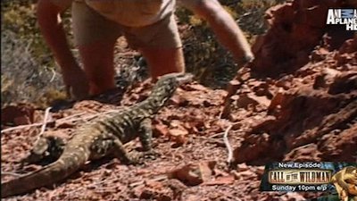 The Crocodile Hunter Season 1 Episode 6