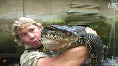 The Crocodile Hunter Season 1 Episode 7