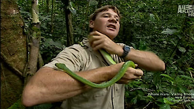 The Crocodile Hunter Season 1 Episode 9