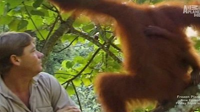 The Crocodile Hunter Season 1 Episode 10