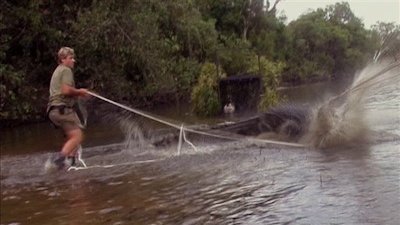 The Crocodile Hunter Season 5 Episode 10