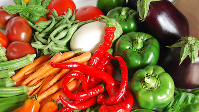 Pet Star Season 2 Episode 6