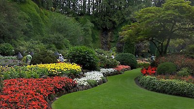 Pet Star Season 2 Episode 7