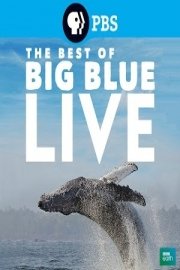 The Best of Big Blue Live