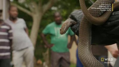 Snake City: Bites Back Season 3 Episode 3