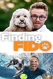 Finding Fido
