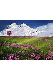 Achieve Your Goals Using Self-Hypnosis