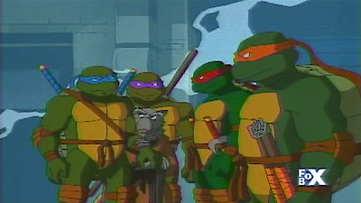 Teenage Mutant Ninja Turtles (2003) Season 2 Episode 10