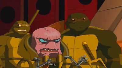 Teenage Mutant Ninja Turtles (2003) Season 2 Episode 6