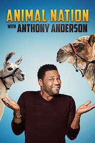 Animal Nation with Anthony Anderson