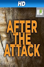 After the Attack