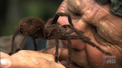 Buggin' with Ruud Season 1 Episode 12