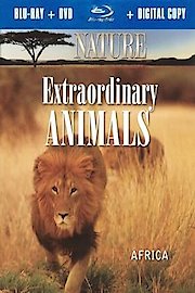 Extraordinary Animals