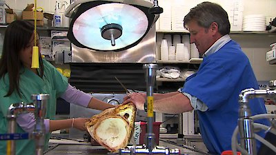 Shark Week Season 2012 Episode 5