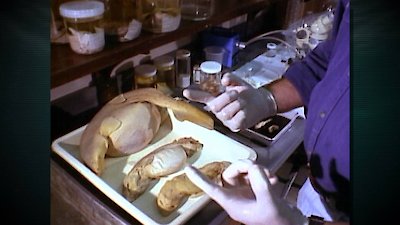 Shark Week Season 2012 Episode 10