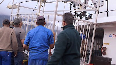 Shark Week Season 2013 Episode 2