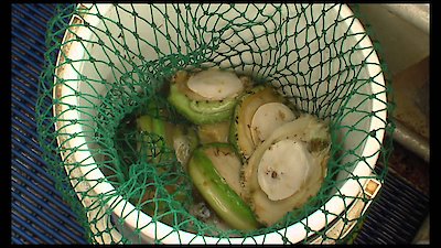 Shark Week Season 2013 Episode 11