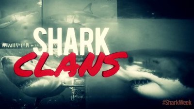 Shark Week Season 2015 Episode 12