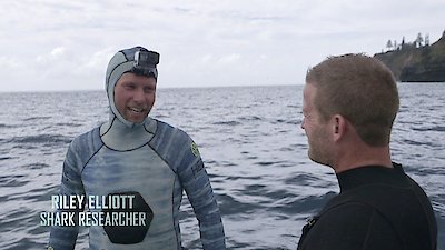 Shark Week Season 2019 Episode 5