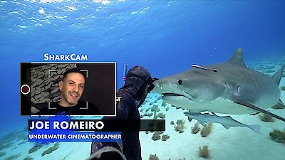 Shark Week Season 2019 Episode 17