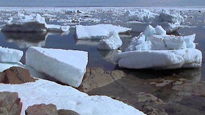 Shark Week Season 25 Episode 6