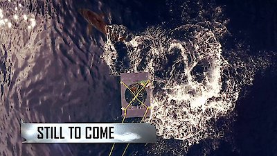 Shark Week Season 27 Episode 1