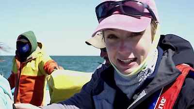 Shark Week Season 30 Episode 20