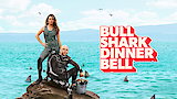 Bull Shark Dinner Bell