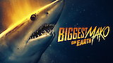 Biggest Mako on Earth