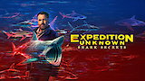 Expedition Unknown: Shark Secrets
