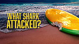 What Shark Attacked?