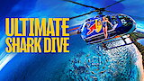 Ultimate Shark Dive