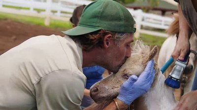 The Adventures of Dr. Buckeye Bottoms Season 2 Episode 1