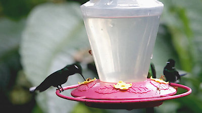 Top 10 Secrets and Mysteries Season 1 Episode 13