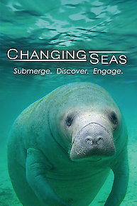 Changing Seas