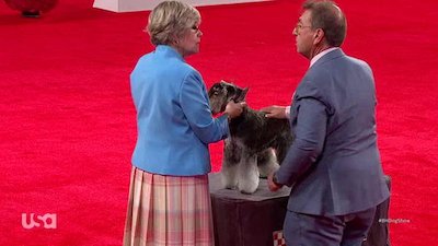 Beverly Hills Dog Show Season 1 Episode 2