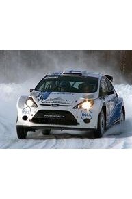 International Rallies