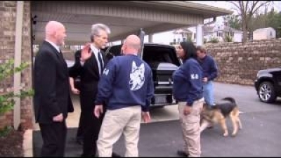 Southern Fried Stings Season 1 Episode 8