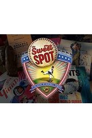 The Sweet Spot A Treasury of Baseball Stories
