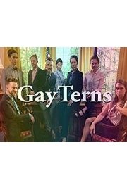 GayTerns