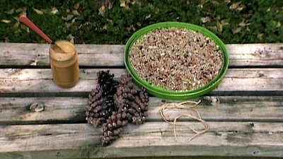 Gardening by the Yard Season 1 Episode 12