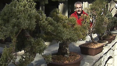 Gardening by the Yard Season 8 Episode 2