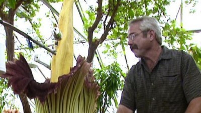 Gardening by the Yard Season 11 Episode 7