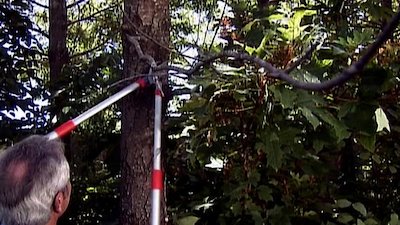 Gardening by the Yard Season 15 Episode 2